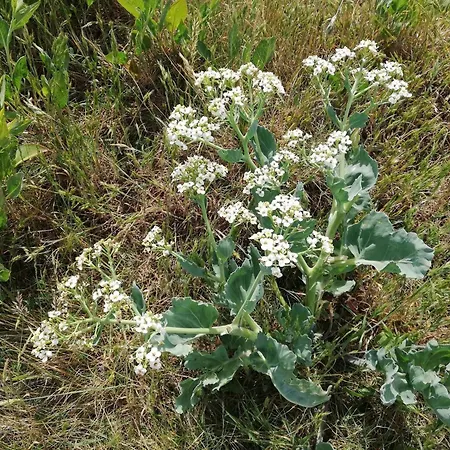 4 Person In Aeroskobing-by Traum