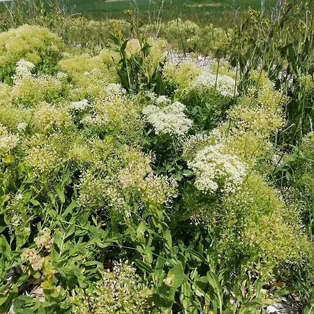 Hébergement de vacances 4 Person In Aeroskobing-by Traum *